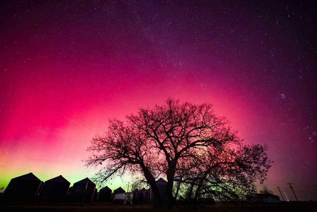 The northern lights - aurora borealis - light up the night sky east of Denver, Colorado, on Nov. 11, 2025.