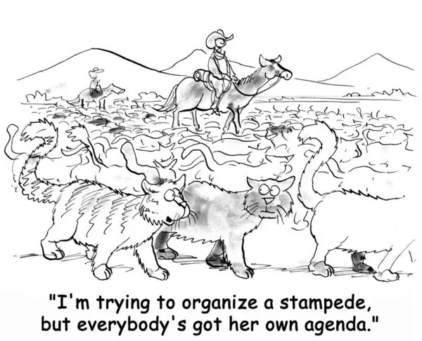 Drawing of a cowboy in the middle of a herd of cats. The caption reads "I'm trying to organize a stampede, but everybody's got her own agenda."