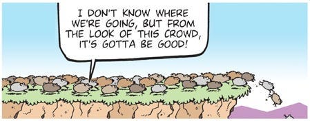 Herd Behaviour: Everyday Decision Making.