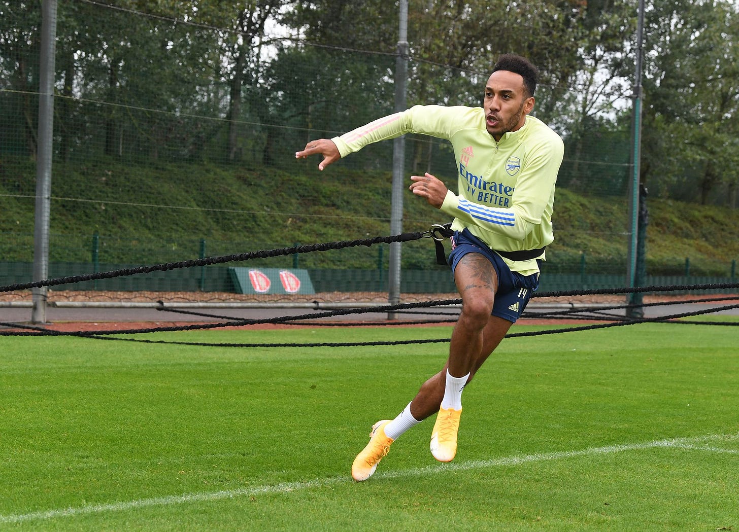 Bringing back Aubameyang