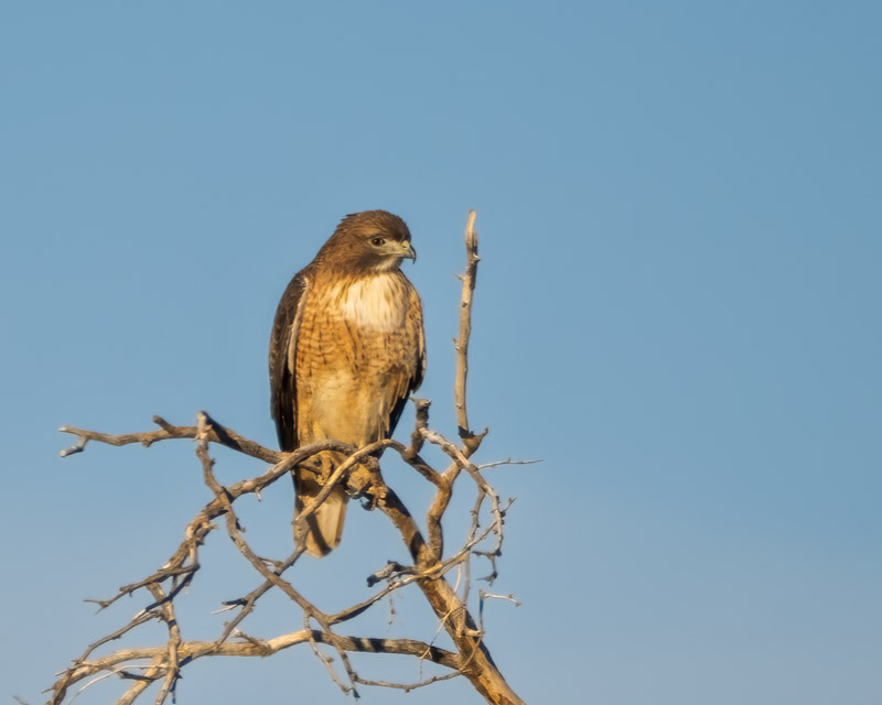 20251116-misc-128-Edit.jpg 20251116-misc-128-Edit.jpg