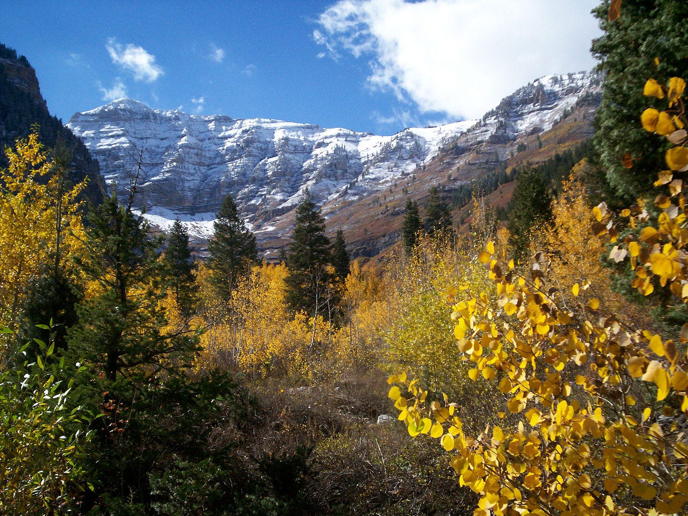 East side of Timpanogos as seen from the Alpine Loop.