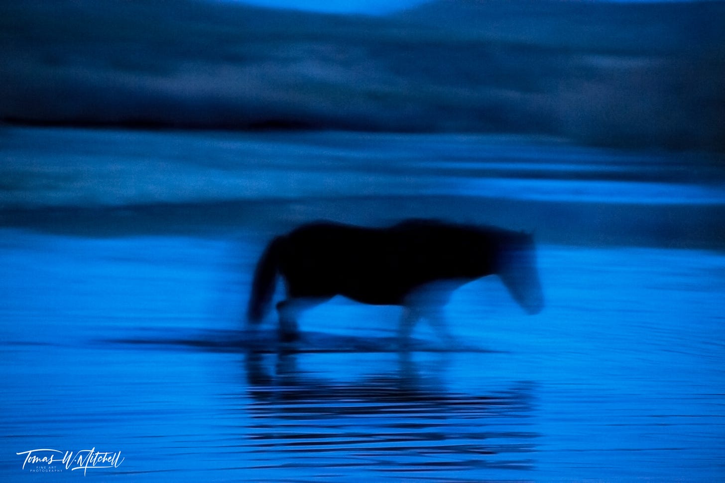 abstract wild horse moonlight Salt River photo art | Tomas W Mitchell