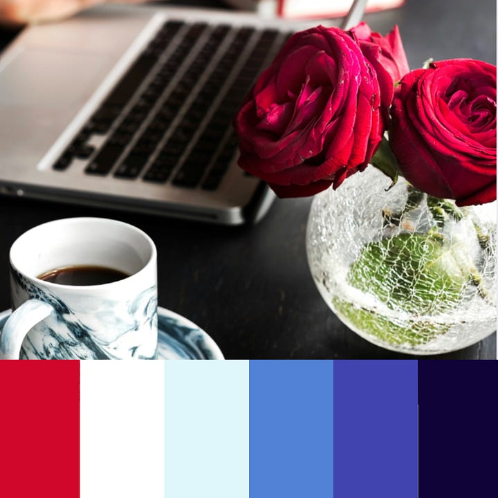 A collection of images with colors that correspond to the seasons