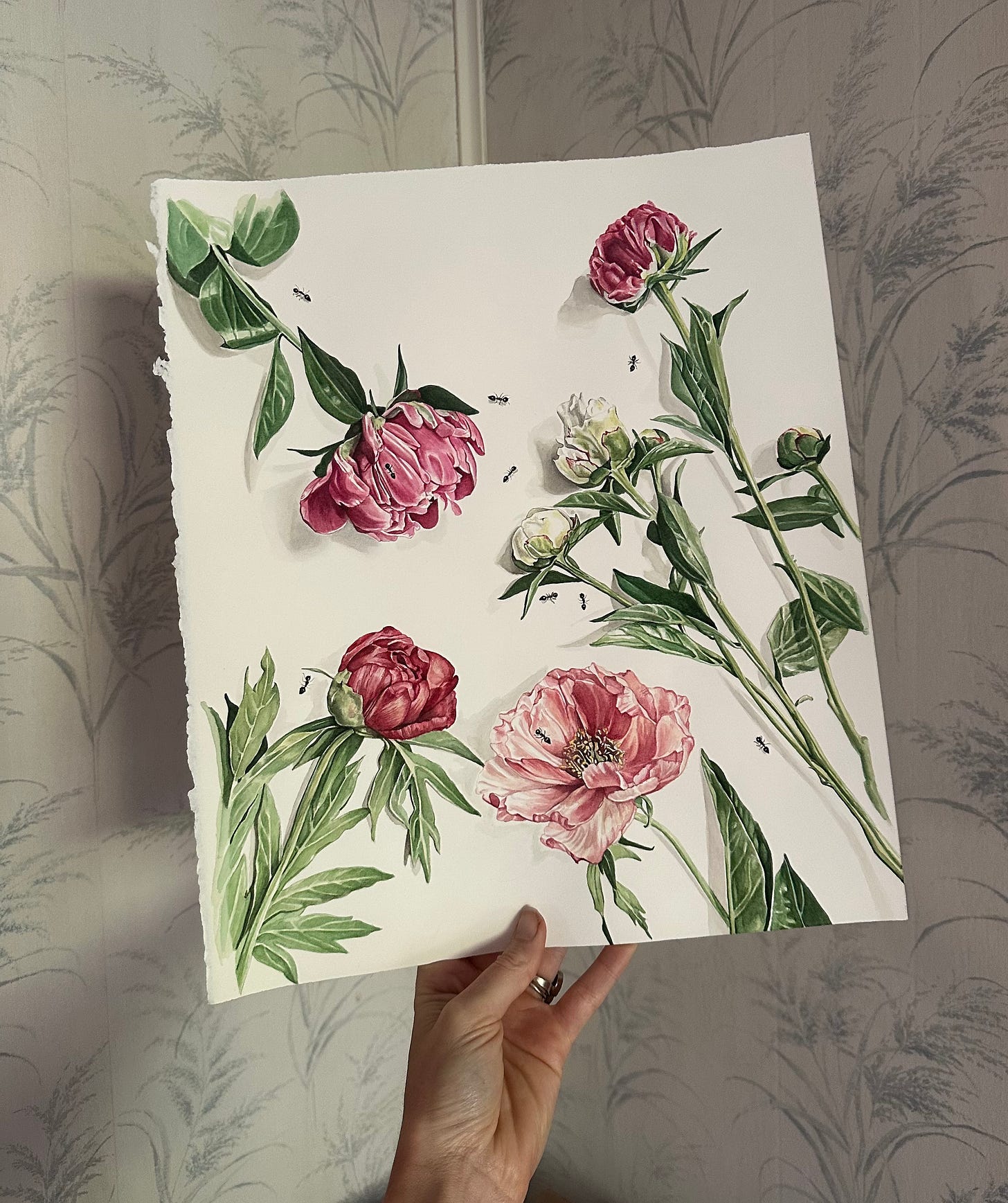 A hand holds up a finished painting of some peony flowers, all different colors of reds and purples and whites, reaching into the center of the paper, with ants crawling on top and between all of them. 
