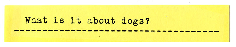 What is it about dogs?