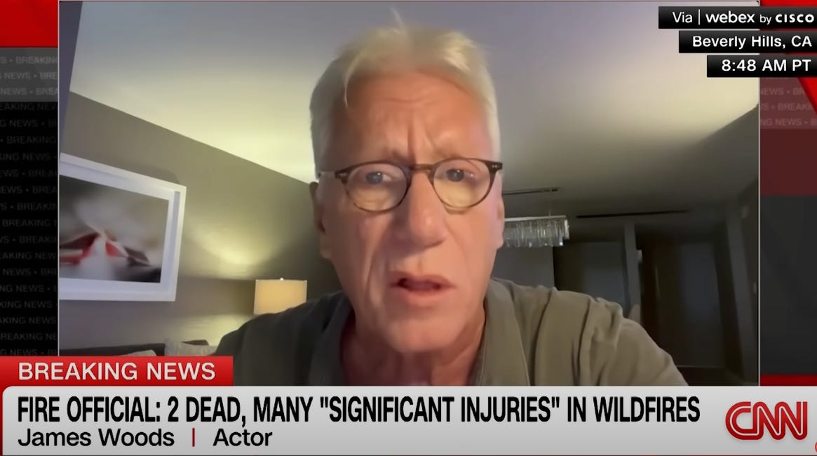 James Woods Blasts California Governor Gavin Newsom and Los Angeles Mayor Karen Bass For The LA Fires: "Liberal Idiots"