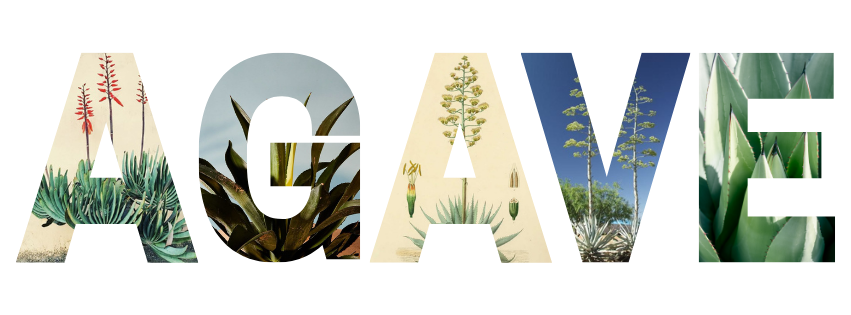 Substack newsletter about cozy interior design, slow living, and emotional home styling. Substack newsletter about cozy interior design, slow living, and emotional home styling.