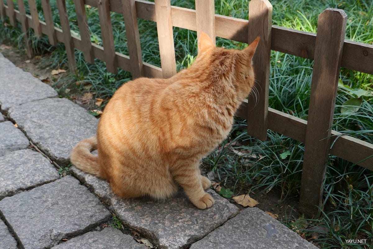 我在苏州逛园子之西园寺-雅余