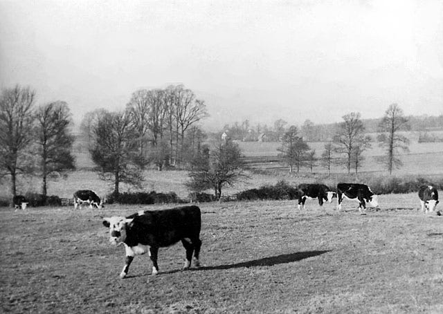 File:Shuthonger - On Twyning Farm 1714235 8bb907fc.jpg