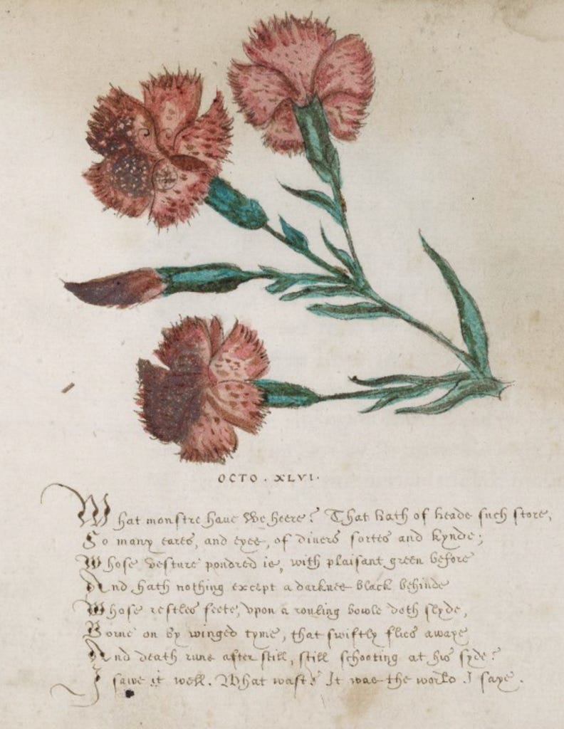 The Language of Ophelia's Flowers - by Jesse 𓆸