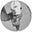 dv's avatar