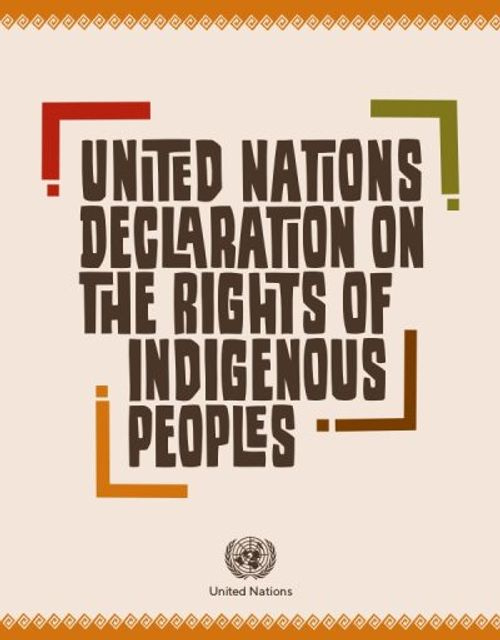 UNDRIP_E_web_page-0001 UNDRIP_E_web_page-0001
