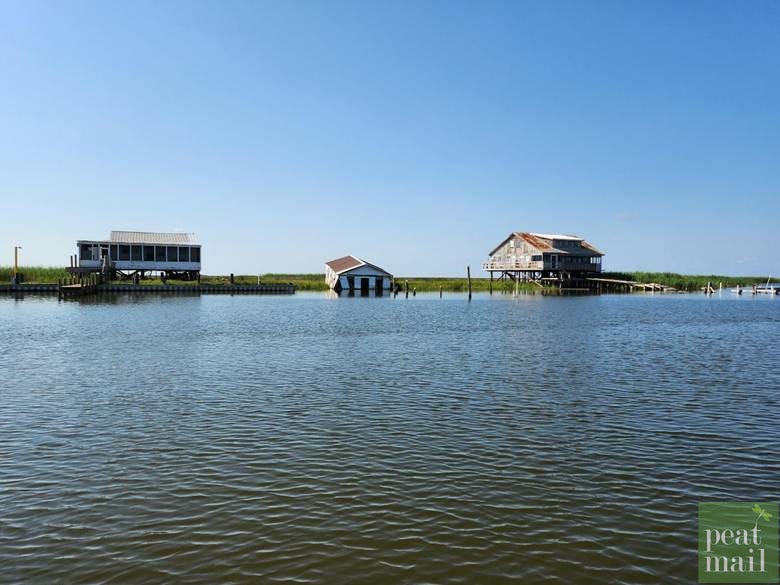 A group of houses on stilts in a body of water

AI-generated content may be incorrect.