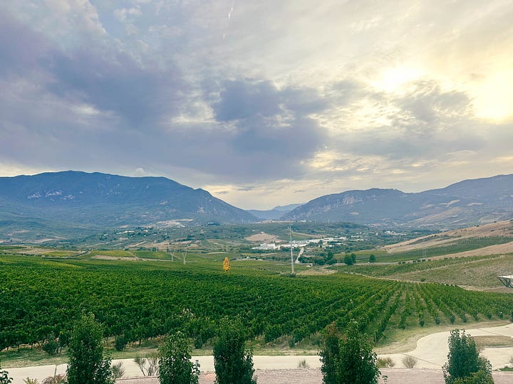 Zaccagnini Winery