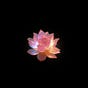 nishka_k🌸's avatar