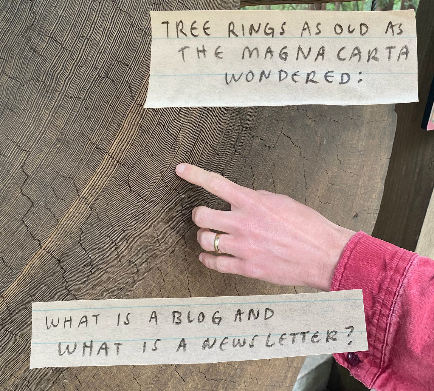 Tree rings as old as the Magna Carta wondered: what is a blog and what is a newsletter?