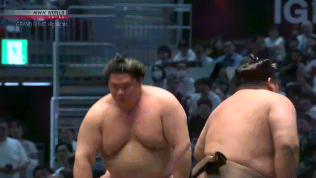 Sumo Stomp! | Tim Edwards | Substack