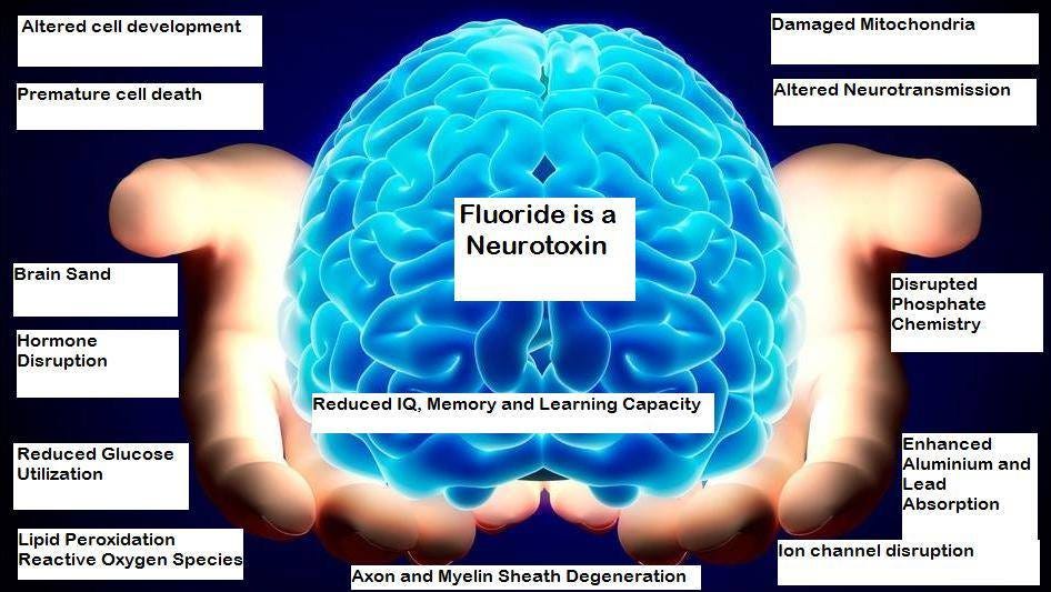 Brain Damage by Fluoride updated Reference Lists