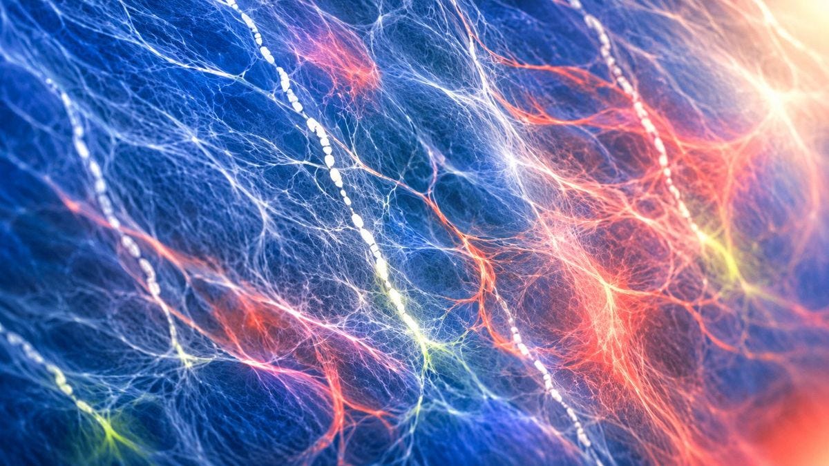 Illustration of a network of small arteries in blue and red, with white beaded deposits suggesting calcification along the vessel walls