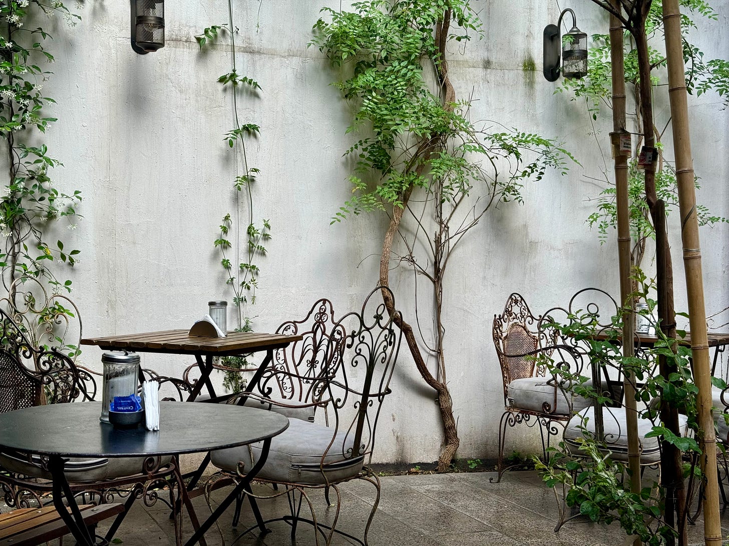 Terraza de la cafetería Treehouse en Palermo Soho. Sillas y mesas metálicas y plantas. Foto propia. Terraza de la cafetería Treehouse en Palermo Soho. Sillas y mesas metálicas y plantas. Foto propia.