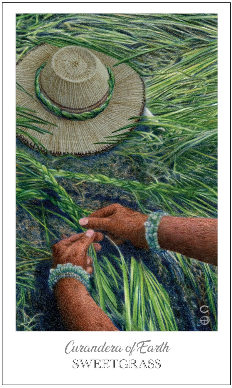 Curandera of Earth / Sweetgrass (King of Pentacles) from the Herbcrafter’s Tarot.  Art by JPC.
