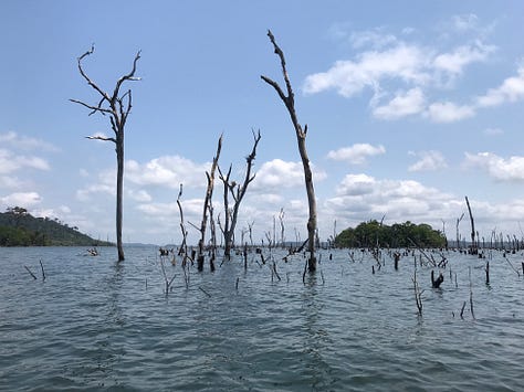 Xingu River. Credit: Anita Makri