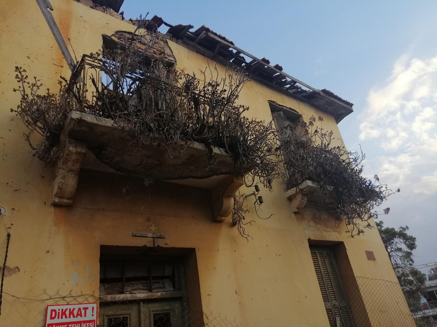 A balcony overgrown with vines, reclaimed by nature.