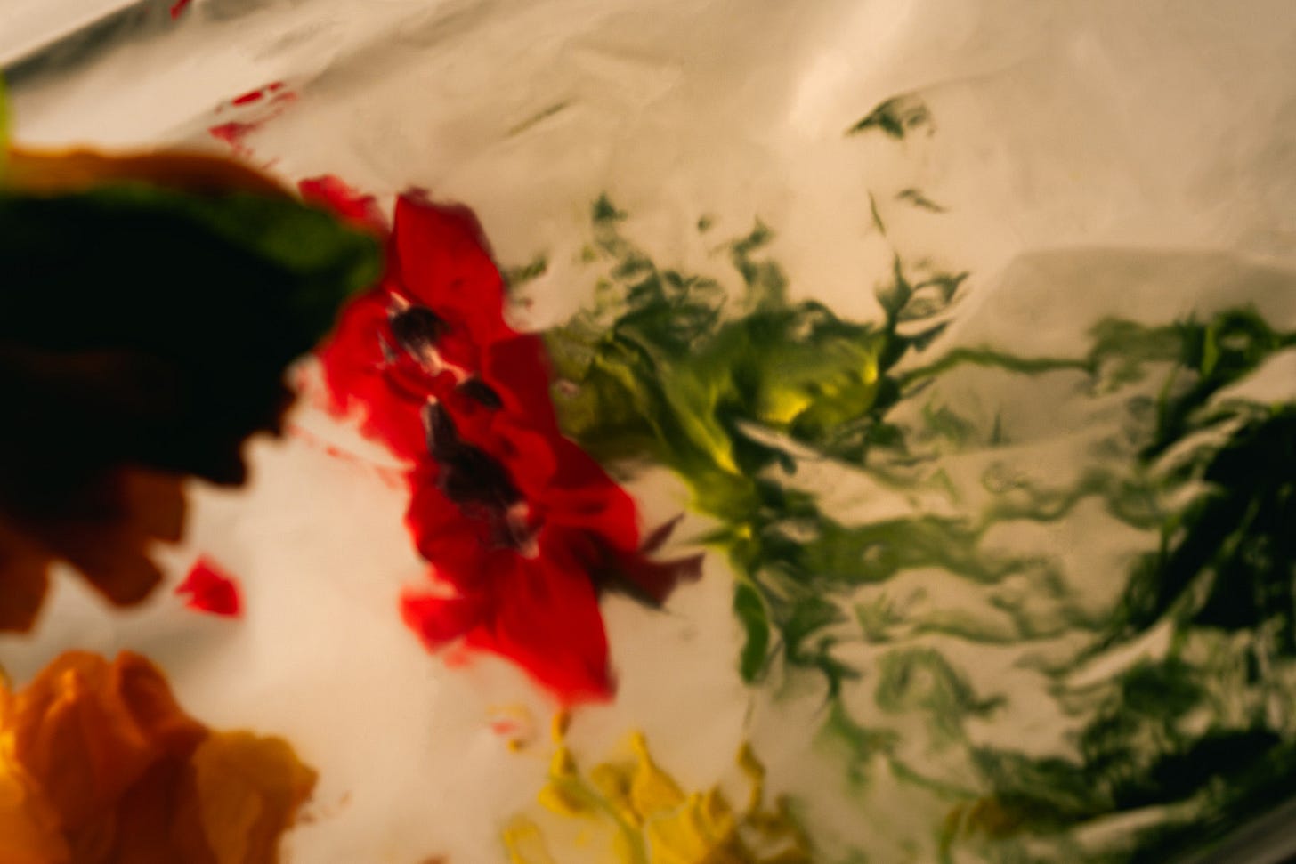 Blurred close-up of red, yellow, and green plant matter dissolving into swirling streaks across a pale, milky surface.
