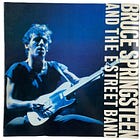 I Was a Teenage Springsteen Fanatic (Part Two)