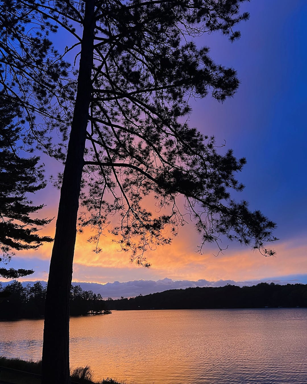 Sunset over a northern Wisconsin lake with a tall pine tree in the foreground.