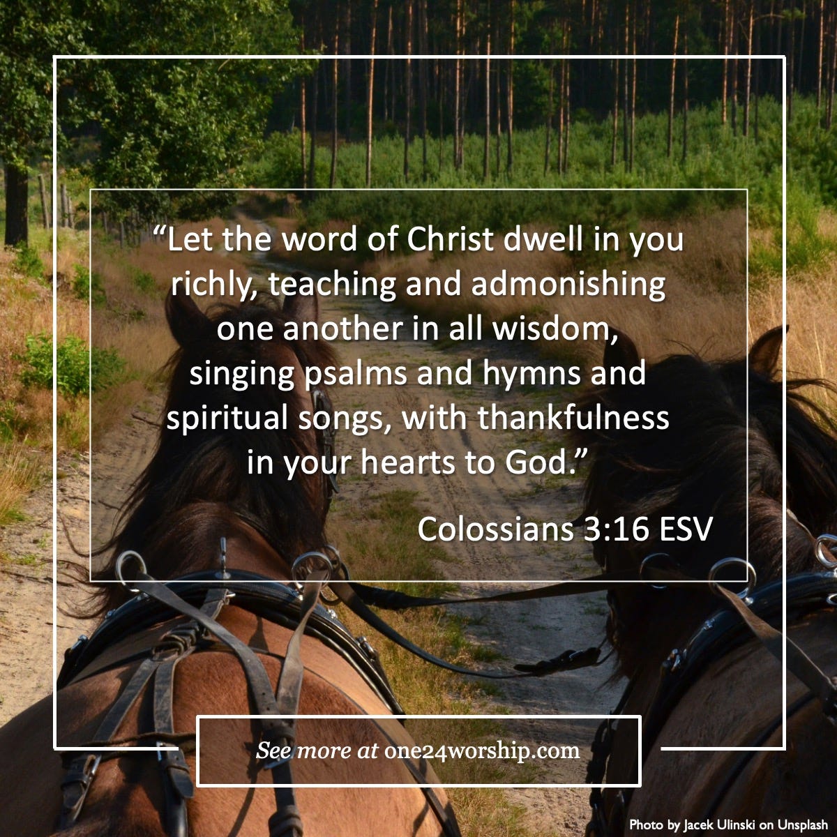 Image of harnessed horses on a path by Jacek Ulinski on Unsplash with Colossians 3:16 one24worship quote superimposed.
