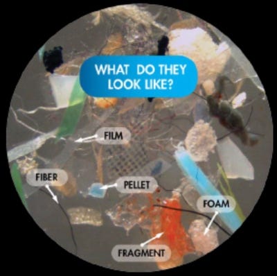 Microplastics | Monterey Bay National Marine Sanctuary Microplastics | Monterey Bay National Marine Sanctuary
