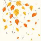 büyük harfleri kaybettim, hükümsüzdür