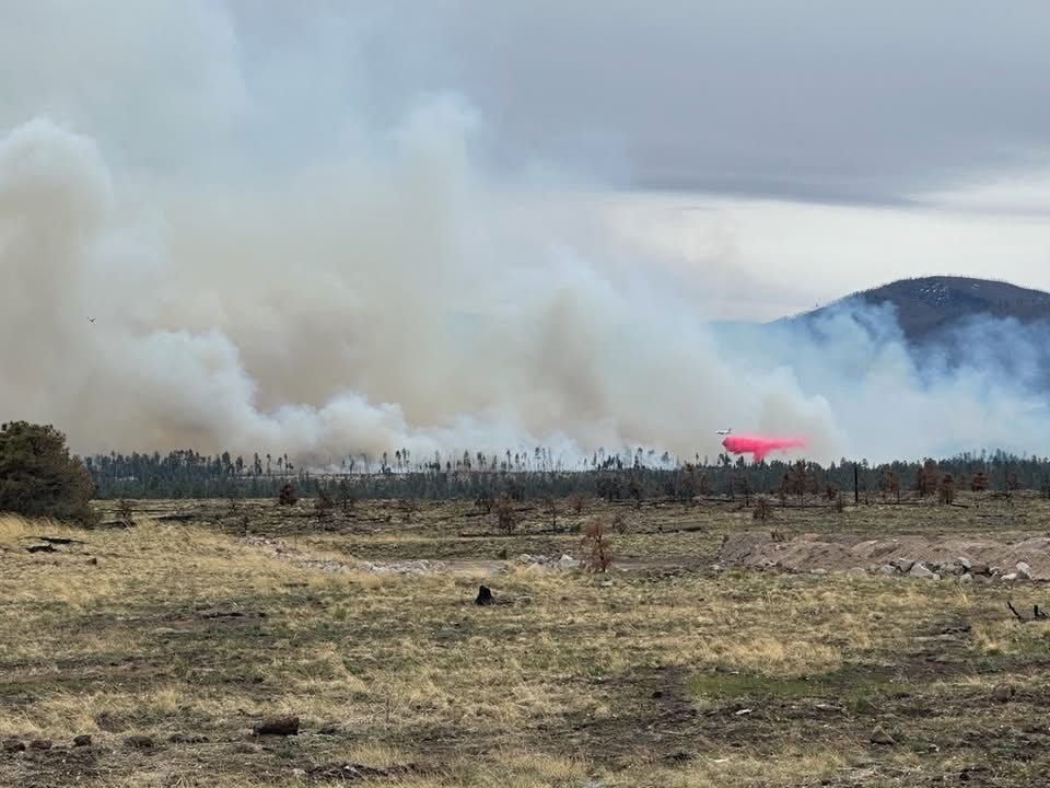 thehotshotwakeup.substack.com - The Hummingbird Fire: The Southwest's Canary In The Coal Mine.