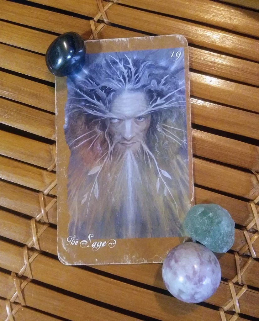 The Sage, Faeries Oracle, Message from the Universe Card The Sage, Faeries Oracle, Message from the Universe Card