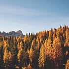 The Thanksgiving We Live Every Day