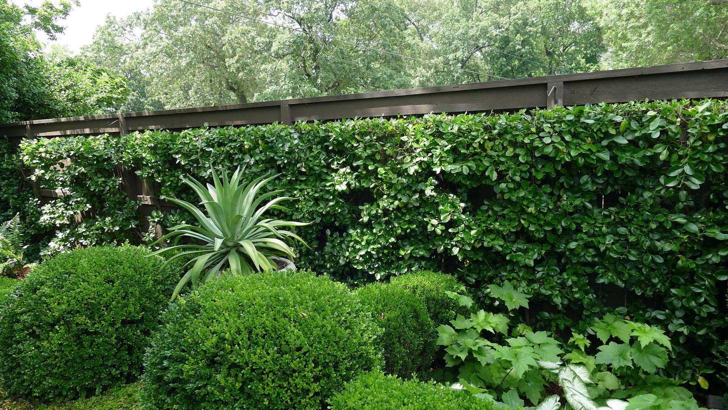 all green border