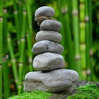 Ghi Chép 10 Ngày Vipassana Của Tôi