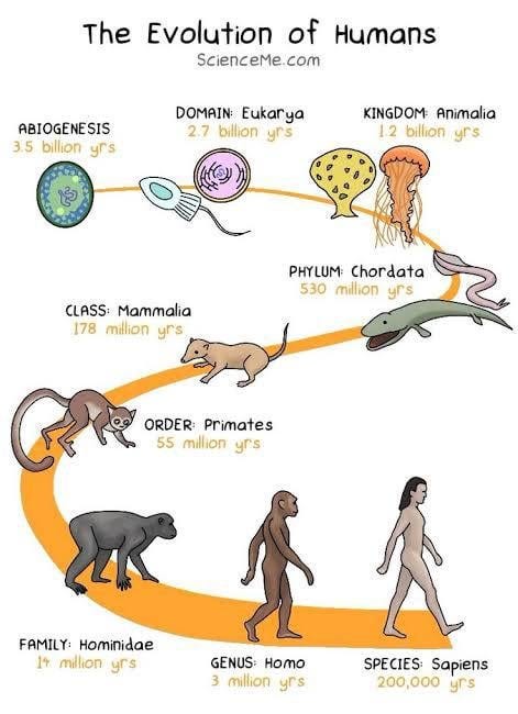 Can we identify which specific species evolved into another species? :  r/biology