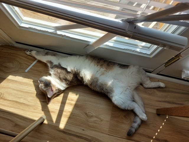 Happy National Measure Your Feet Day?