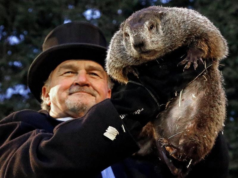 Murmeltiertag 2025: Datum, Bedeutung, Geschichte beim Groundhog Day |  SÜDKURIER
