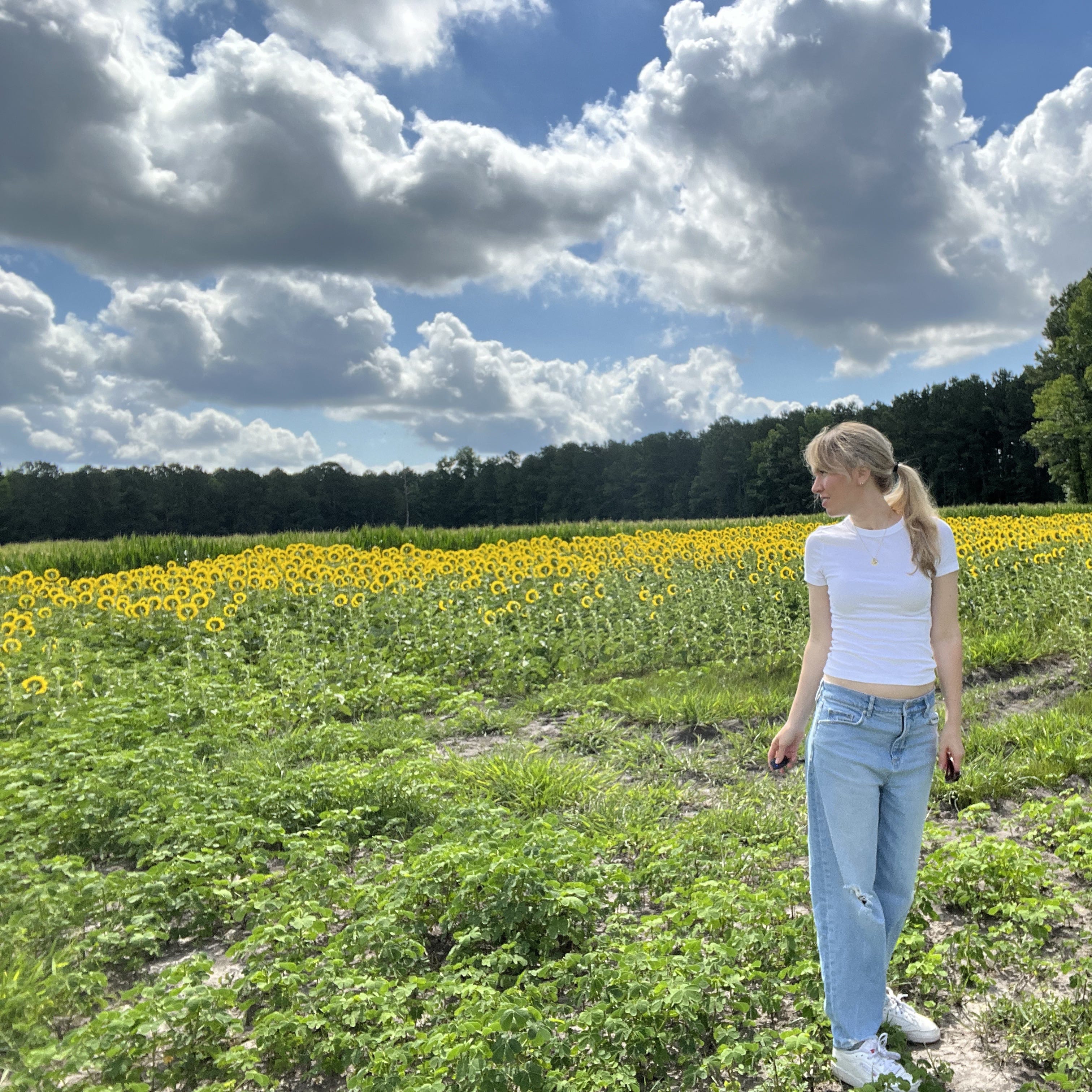 Dirt and Yellow Flowers