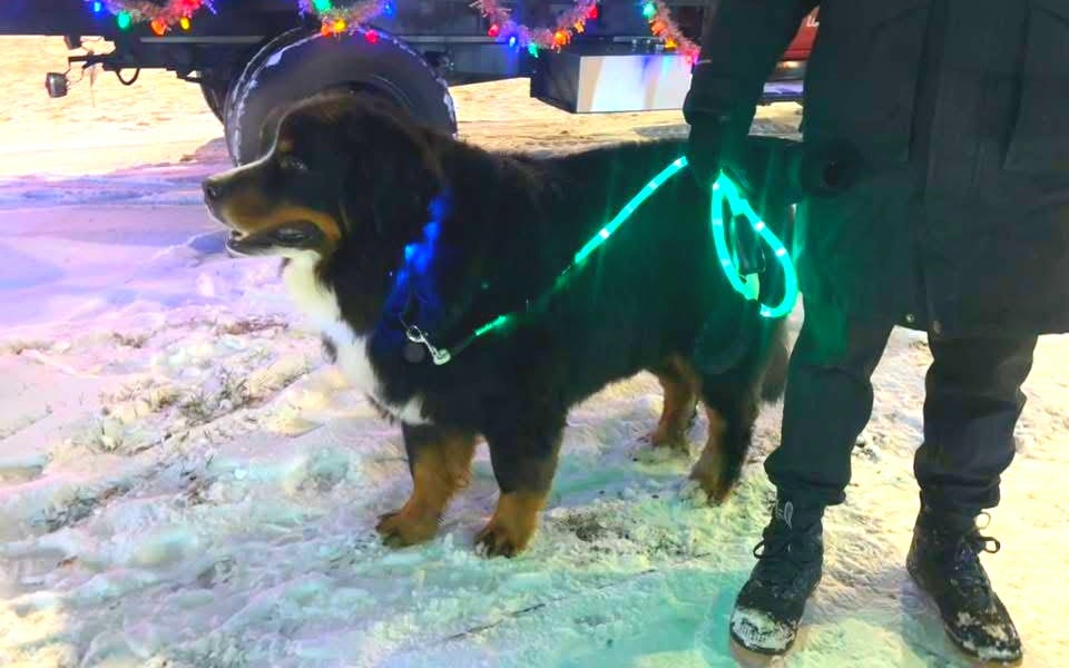 Parade of Lights jump starts 2025 holiday season in Sioux Falls