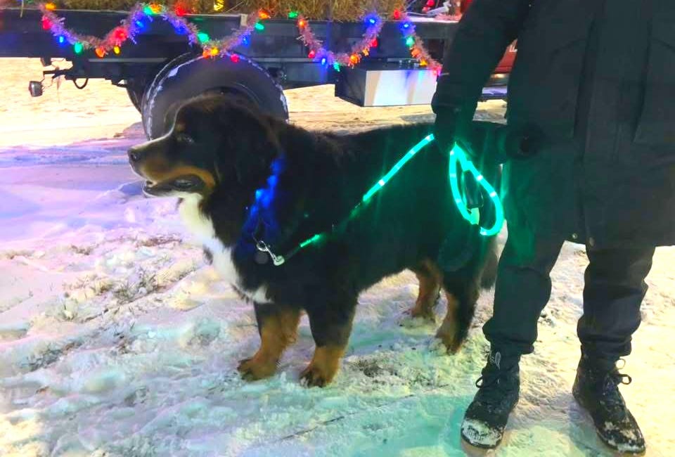 Parade of Lights jump starts 2025 holiday season in Sioux Falls