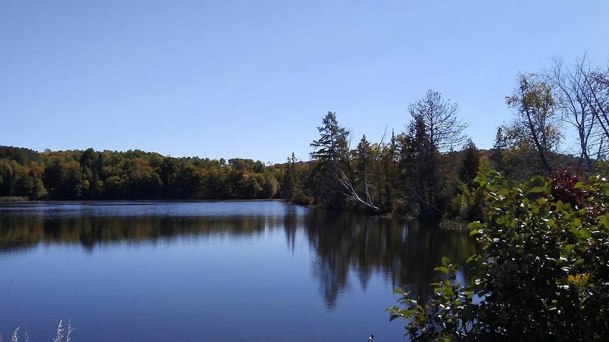 The view of Redmond Bay on a warm fall day with blue sky and calm waters.
