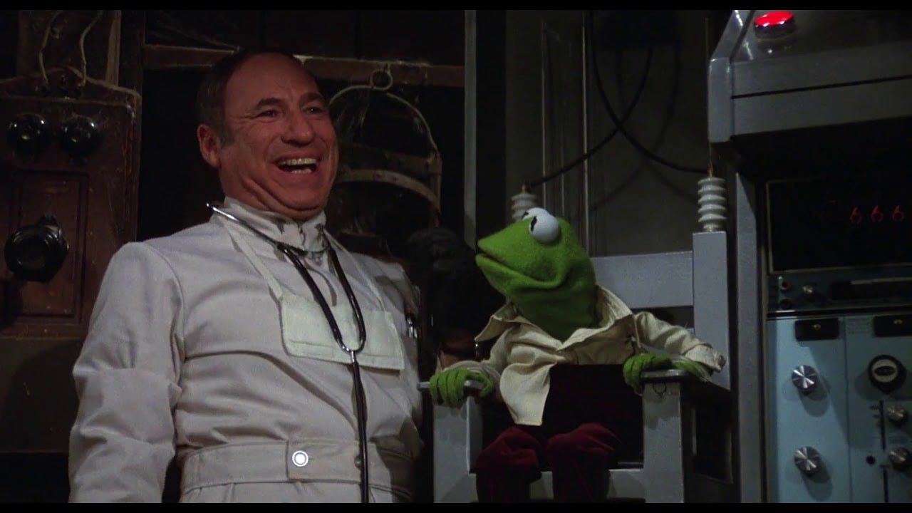 Image result for mel brooks muppet movie