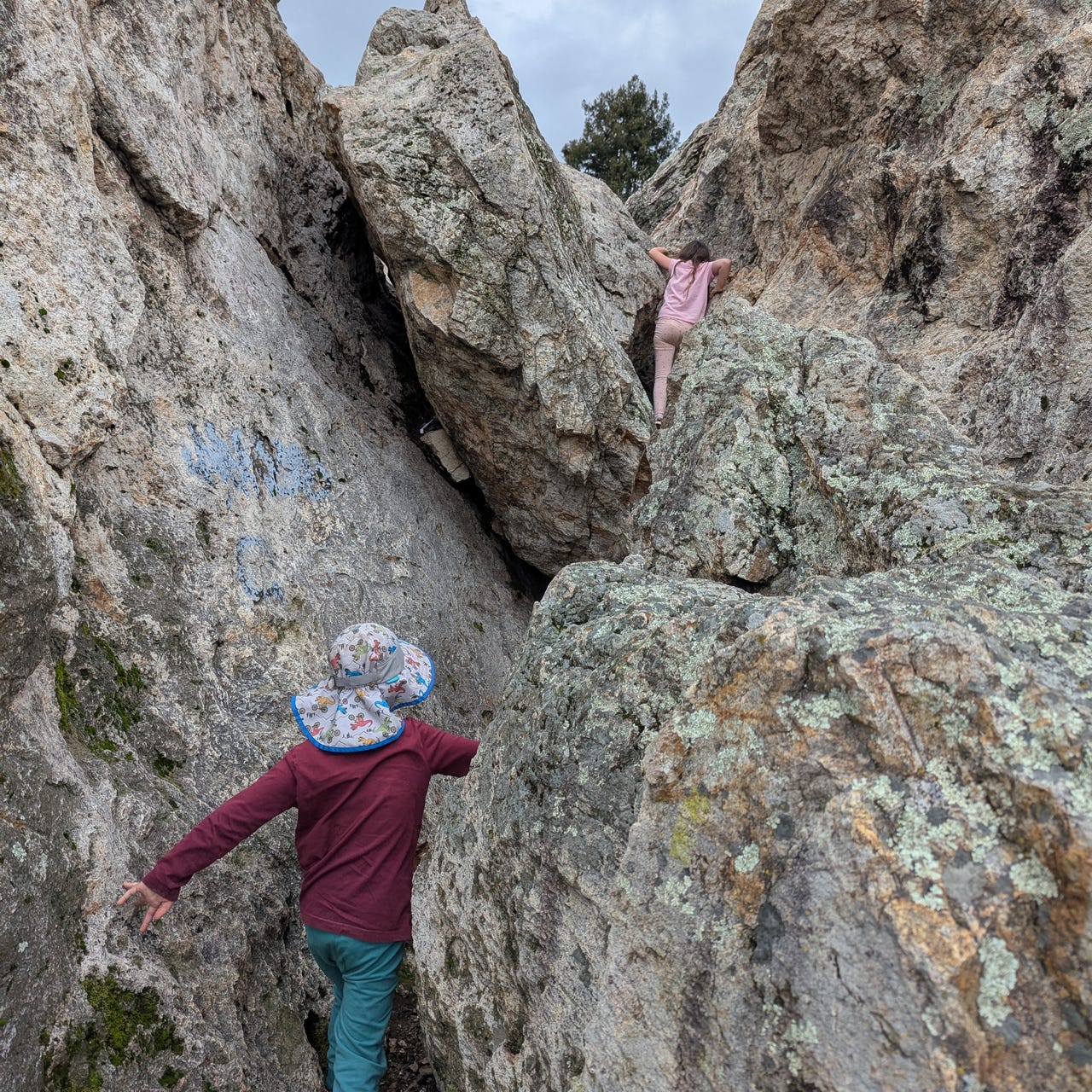 Monotropic Ambiguity