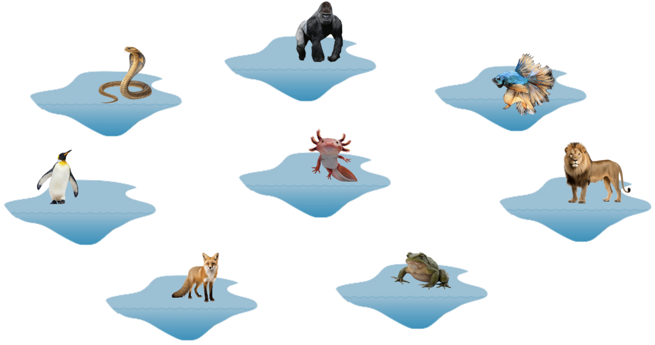 Several ponds, each containing a different species of animal.