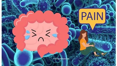 Gut Microbiome and Pain - Healthieyoo